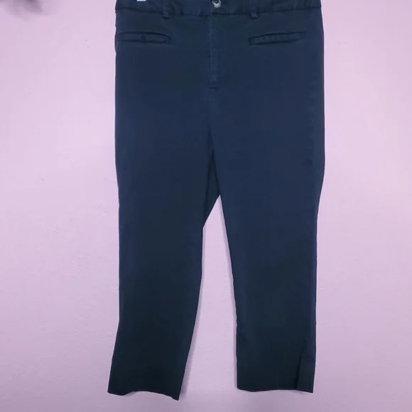 Anthropologie Cropped Skinny Pedal Pusher Pants - Picture 5 of 11